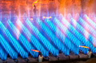 Farnborough Green gas fired boilers